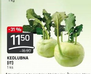 KEDLUBNA