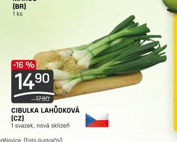 CIBULKA LAHŮDKOVÁ