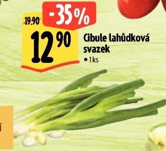 Jarní cibule svazek