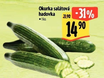 Okurka hadovka