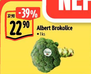 Brokolice Albert