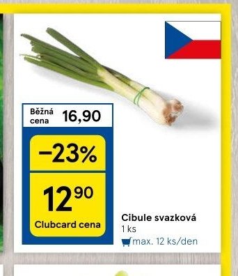 Cibule svazková
