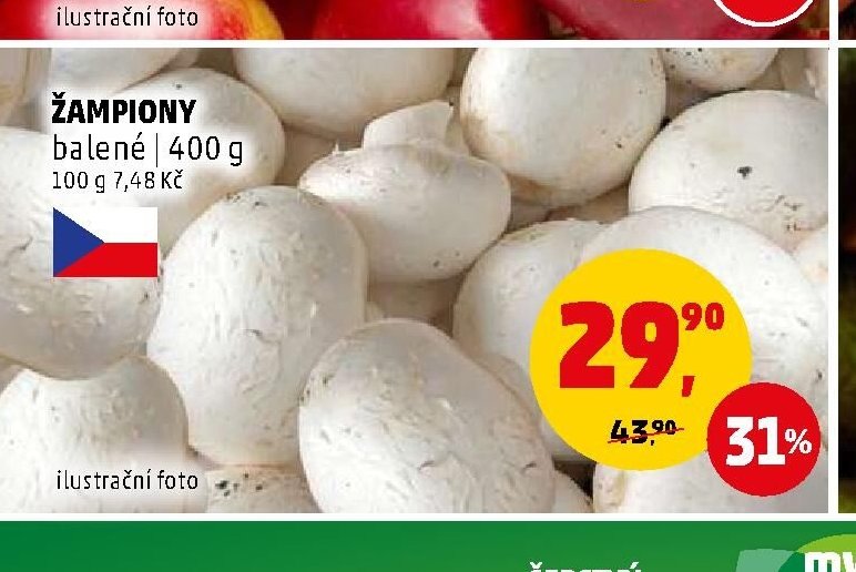 ŽAMPIONY