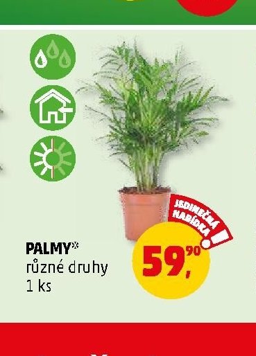 PALMY