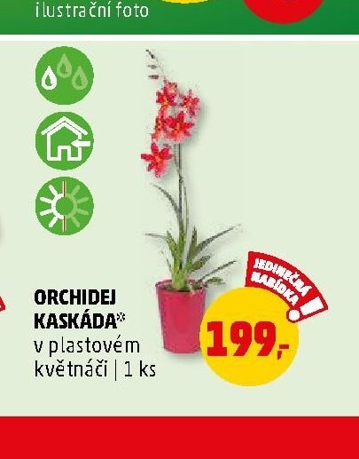ORCHIDEJ KASKÁDA
