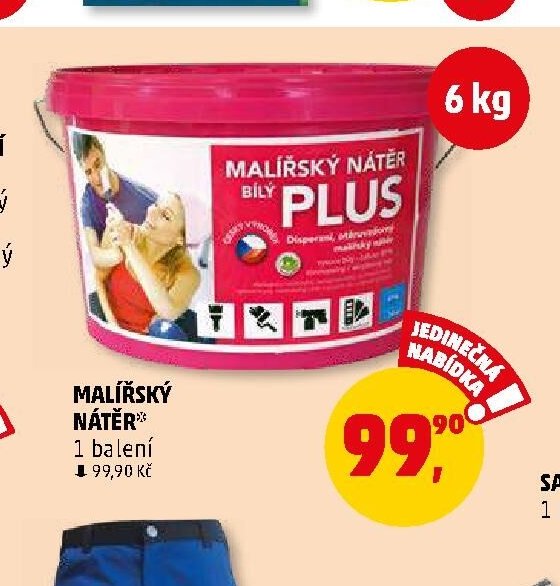 MALÍŘSKÝ NÁTĚR
