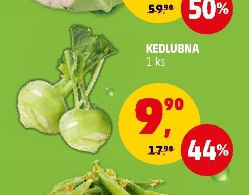 KEDLUBNA