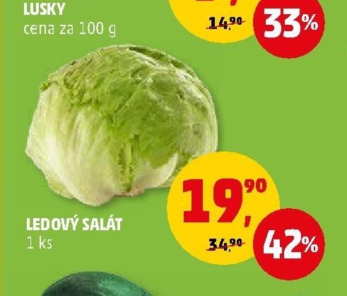 LEDOVÝ SALÁT