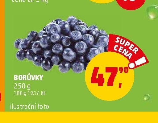 BORŮVKY