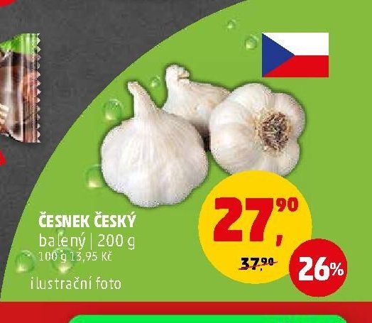 ČESNEK ČESKÝ