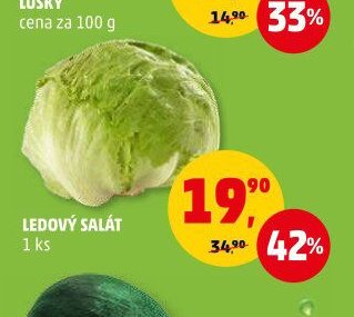 Ledový salát