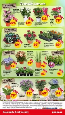 akční leták Penny Market 11.4.2024-24.4.2024