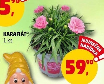 Karafiát - Penny Market akcniletaky.com