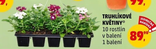 Truhlíkové květiny