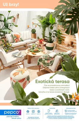 akční leták PEPCO 11.4.2024-24.4.2024