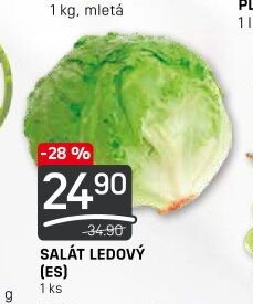 Salát ledový