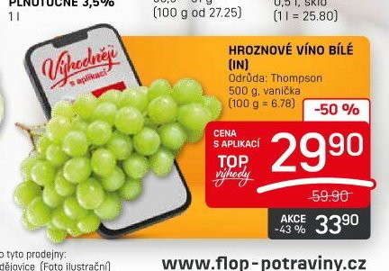 Hroznové víno bílé