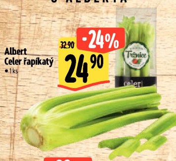 Celer řapíkatý Albert