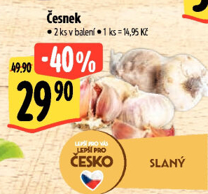 Česnek český