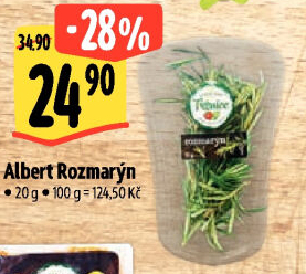 Rozmarýn čerstvý Albert
