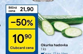Okurka hadovka