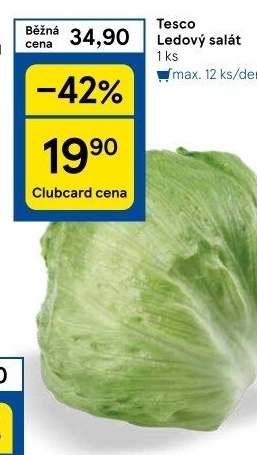 Salát ledový Tesco