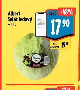Albert Salát ledový
