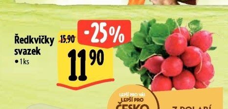 Ředkvičky svazek