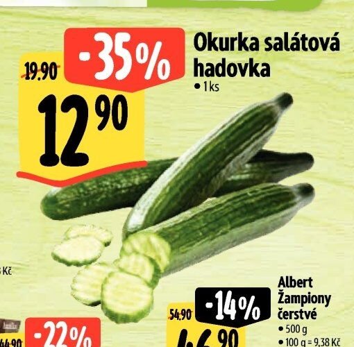 Okurka salátová hadovka