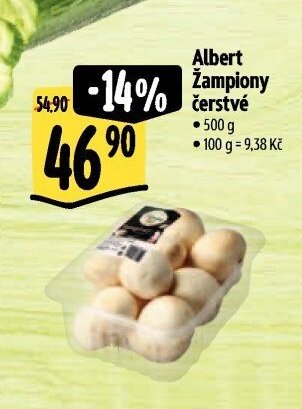Albert Žampiony čerstvé