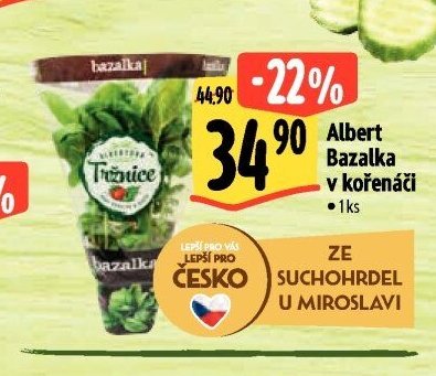 Albert Bazalka v kořenáči