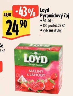 Čaj Loyd - pyramidový