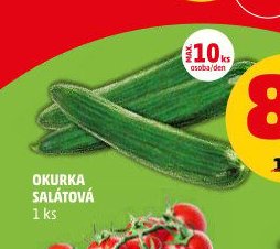 Okurka salátová