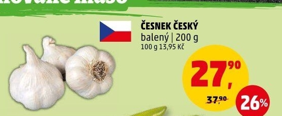 Česnek český