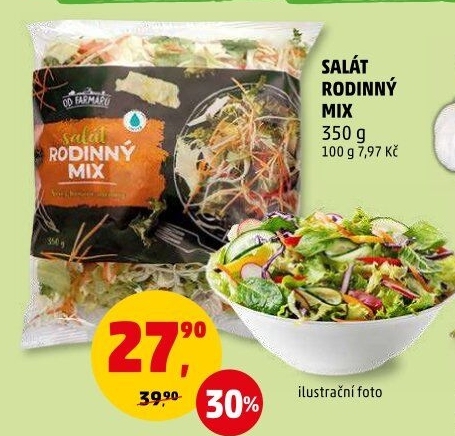 Salát rodinný mix Polabská zelenina