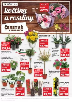 akční leták Kaufland 1.5.2024-6.5.2024