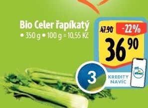 Celer řapíkatý bio
