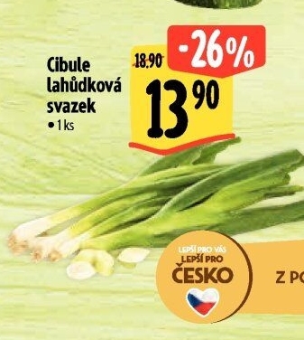 Jarní cibule svazek