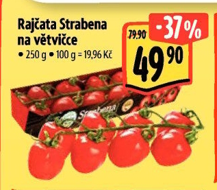 Rajčata keříková Albert