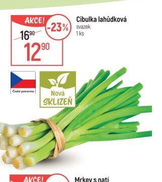 Cibulka lahůdková