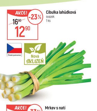 Cibulka lahůdková