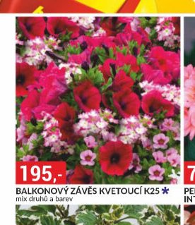 BALKONOVÝ ZÁVĚS KVETOUCÍ K25
