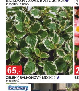 ZELENÝ BALKONOVÝ MIX K11