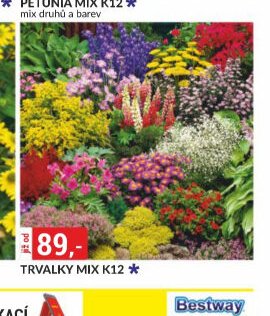 TRVALKY MIX K12