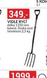 VIDLE RYČÍ