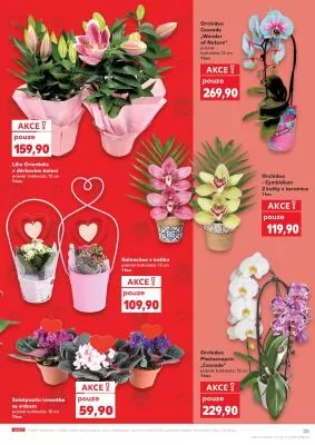 akční leták Kaufland 7.5.2024-14.5.2024