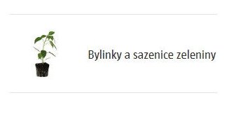 Bylinky a sazenice zeleniny - BAUHAUS akcniletaky.com
