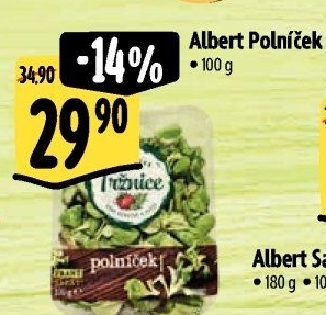 Salát polníček Albert