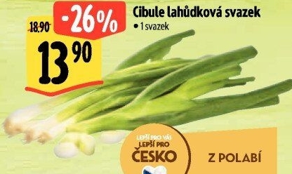 Jarní cibule svazek