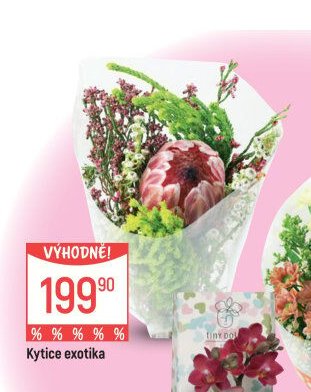 Kytice exotika